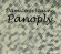 Wayne Hayden & Jason Damico - Panoply Damico & Wayne Wayne Hayden & Jason Damico - Panoply Damico & Wayne