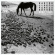 Various - Bartok, Ligeti, Veress & Eotvos: So Various - Bartok, Ligeti, Veress & Eotvos: So
