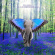 Morello Tom - The Atlas Underground Flood (Sky Bl Morello Tom - The Atlas Underground Flood (Sky Bl