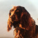 Peter Kernel - Size Of The Night Peter Kernel - Size Of The Night