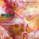 Mozart Wolfgang Amadeus - Piano Concertos Nos. 23, Kv 488 & 2 Mozart Wolfgang Amadeus - Piano Concertos Nos. 23, Kv 488 & 2
