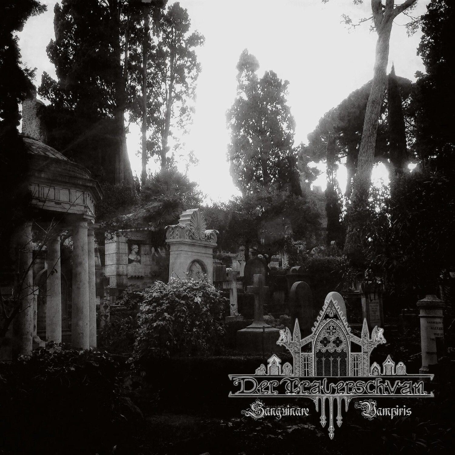 Der Trauerschwan - Sanguinare Vampiris