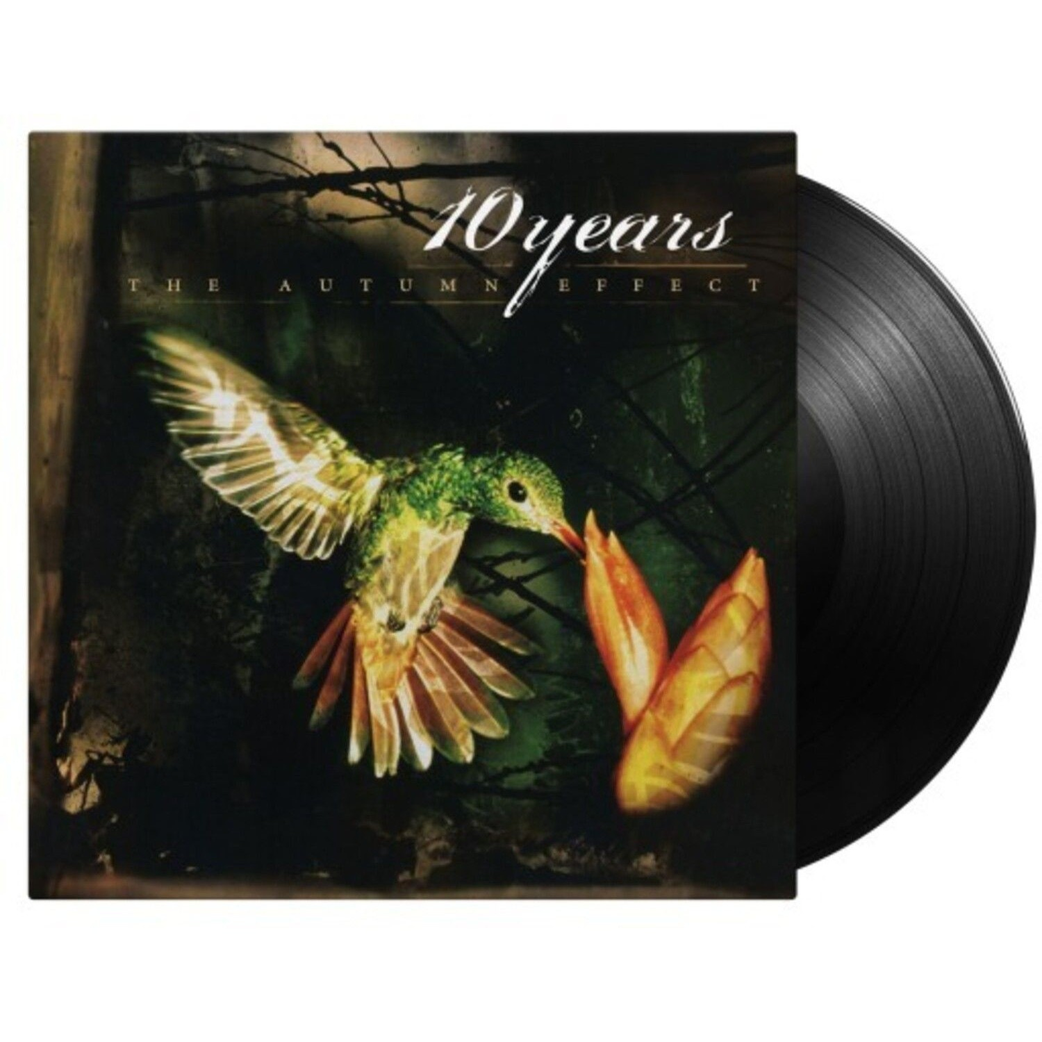 Ten Years - Autumn Effect