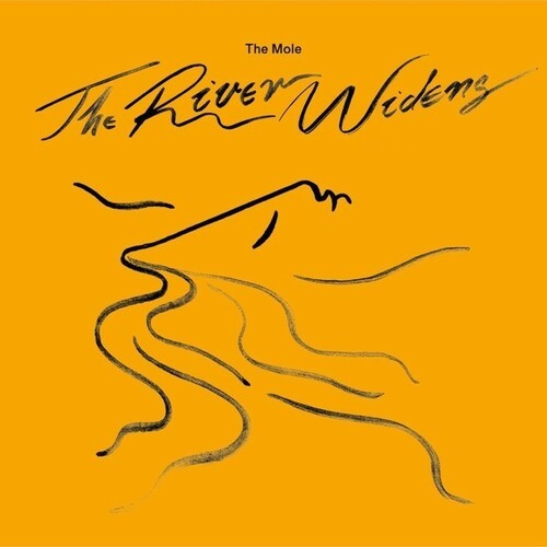 The Mole - River Widens