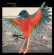 I'm Kingfisher - Glue (White Vinyl) I'm Kingfisher - Glue (White Vinyl)