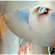 Amorphous Androgynous - Tales Of Ephidrina (Rsd Lp + 12inch) Amorphous Androgynous - Tales Of Ephidrina (Rsd Lp + 12inch)