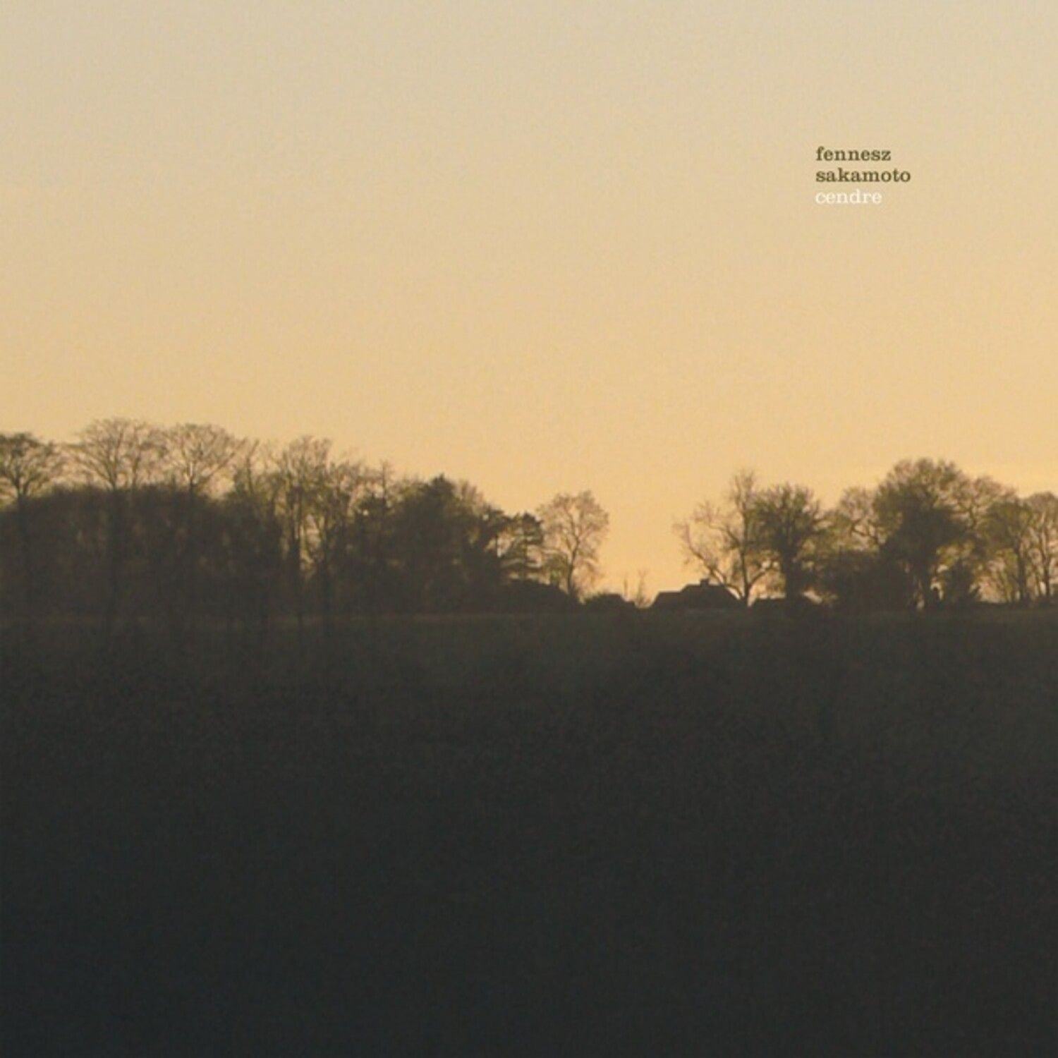 Fennesz & Ryuichi Sakamoto - Cendre