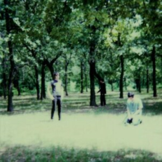 Fucking Champs The - Iii