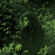 Biff Bang Pow! - Songs For The Sad Eyed Girl Biff Bang Pow! - Songs For The Sad Eyed Girl