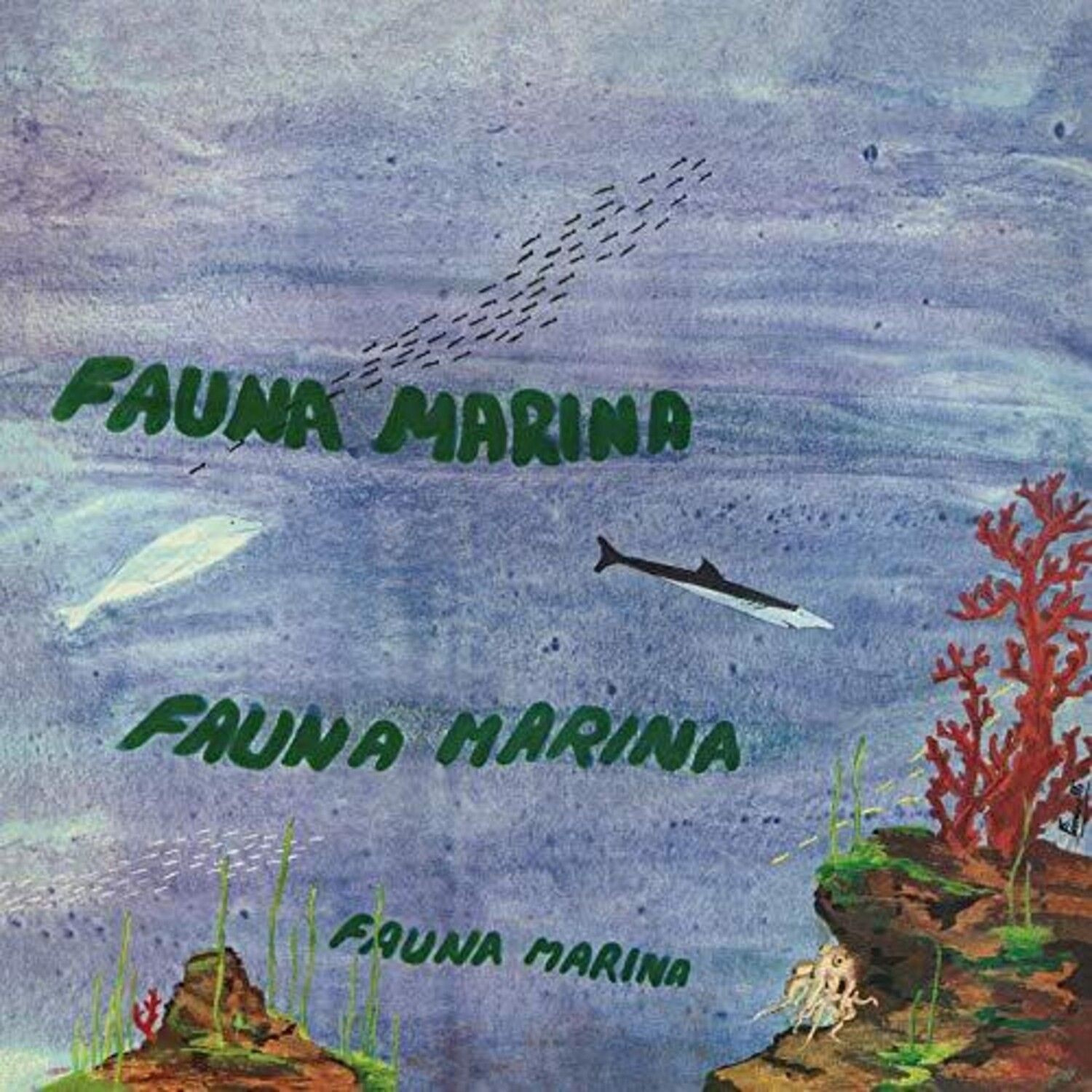 Egisto Macchi - FAUNA MARINA