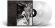 Neil Young & Crazy Horse - World Record (Ltd Indie Color 2LP) Neil Young & Crazy Horse - World Record (Ltd Indie Color 2LP)