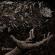 Bound In Fear - Penance Bound In Fear - Penance