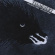 Firmament - We Don't Rise, We Just Fall Firmament - We Don't Rise, We Just Fall