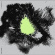 Shida Shahabi - Living Circle Shida Shahabi - Living Circle