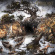 Fabricant - Drudge To The Thicket (Vinyl Lp) Fabricant - Drudge To The Thicket (Vinyl Lp)