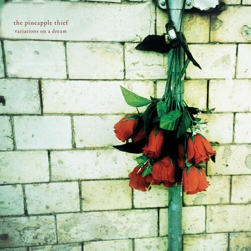 The Pineapple Thief - Variations On A Dream