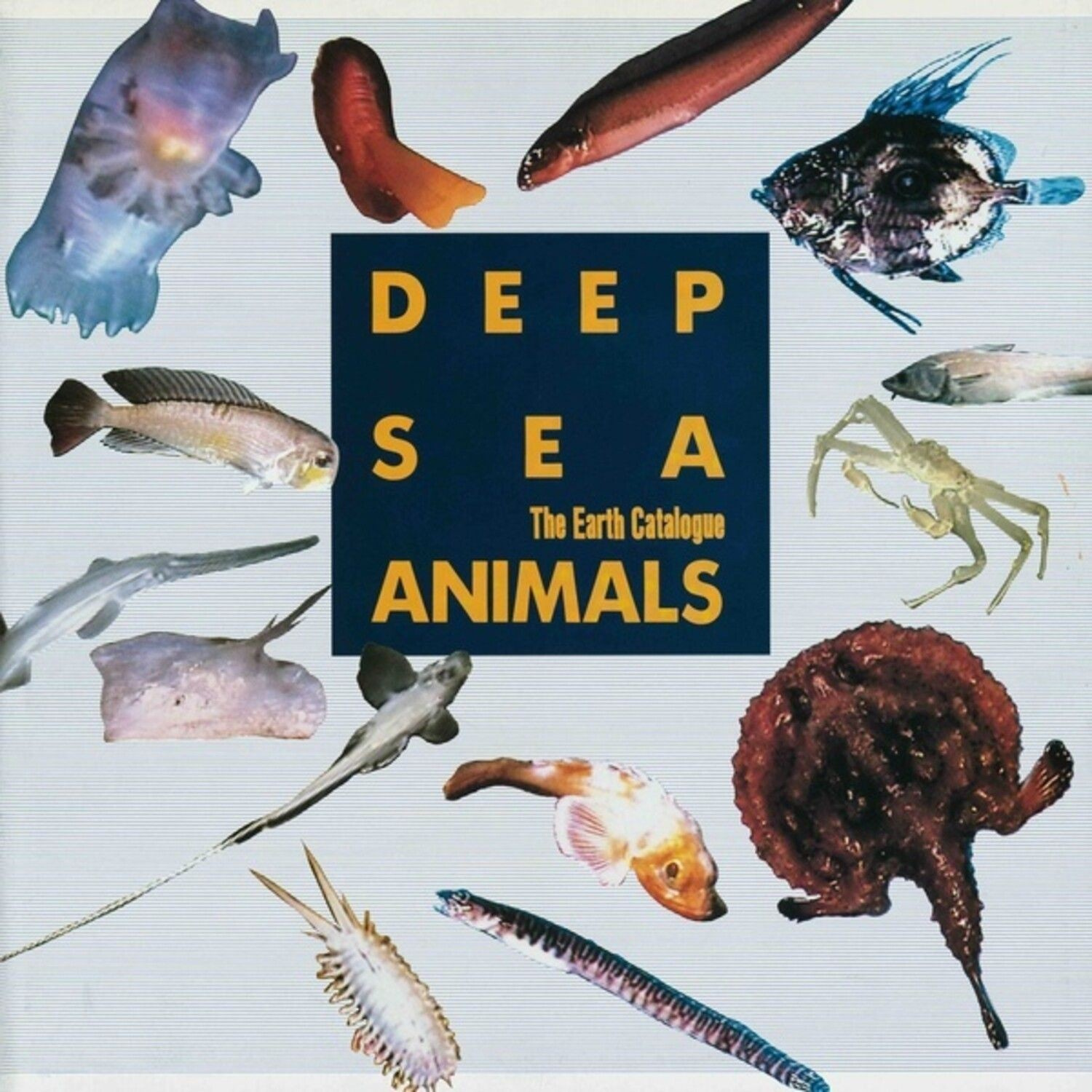 Various Artists - Deep Sea Animals Original Soundtrac