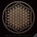 Bring Me The Horizon - Flower Individual Cork Coaster Bring Me The Horizon - Flower Individual Cork Coaster