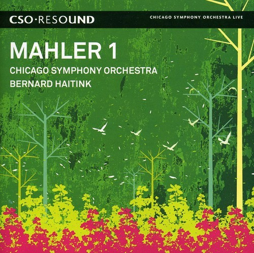 Gustav Mahler - Symphony No 1