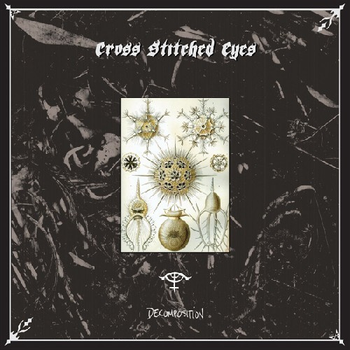 Cross Stitched Eyes - Decomposition