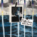 Cliffie Swan - Memories Come True Cliffie Swan - Memories Come True