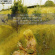 Schubert Franz - String Quartets 10 & 14 Schubert Franz - String Quartets 10 & 14