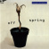 Berger & Keijser - Off Spring Berger & Keijser - Off Spring
