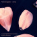 Rued Langgaard - Songs Rued Langgaard - Songs