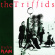 Triffids The - Treeless Plain (40Th Anniversary) Triffids The - Treeless Plain (40Th Anniversary)