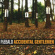 Piebald - Accidental Gentleman Piebald - Accidental Gentleman