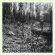 Topographies - Interior Spring Topographies - Interior Spring