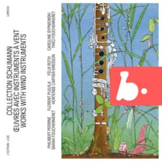 Schumann Robert - Schumann Collection - Works With Wi