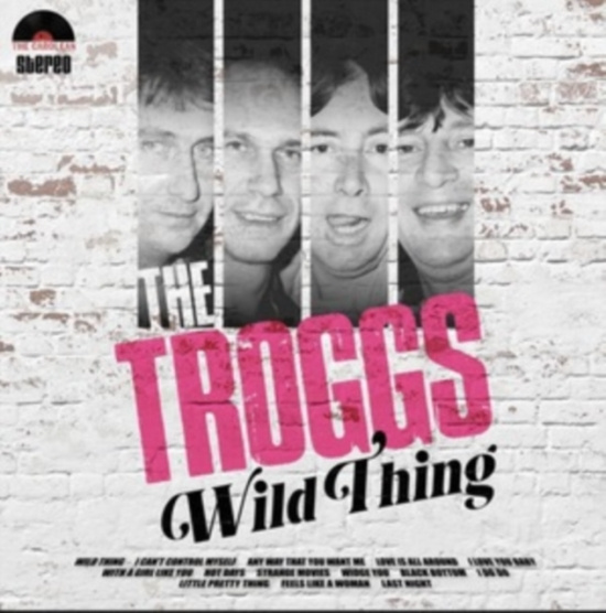 Troggs - Wild Thing