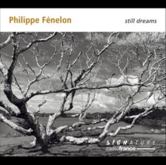 Philippe Fénelon - Still Dreams
