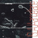 Islaja - Angel Tape Islaja - Angel Tape