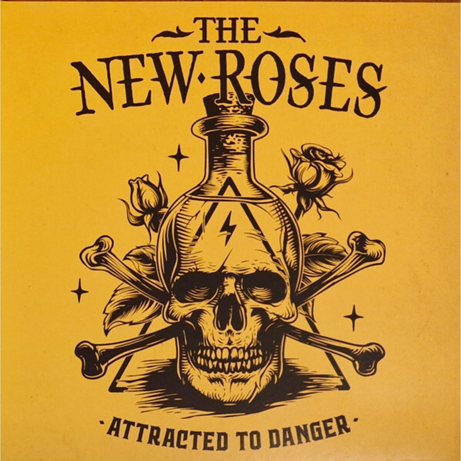 The New Roses - Attracted To Danger