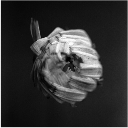 A Swarm Of The Sun - An Empire (2 Lp Vinyl)