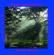 Hayden Wayne - Piano Concerto #2: The Jazz Hayden Wayne - Piano Concerto #2: The Jazz