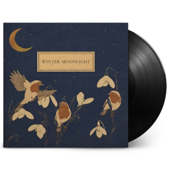 Grinko Evgeny - Winter Moonlight / Orange Marmalade