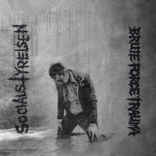 Socialstyrelsen / Brute Force Traum - Split (Vinyl Lp)