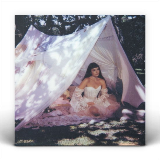 Julia Mestre - Maravilhosamente Bem