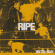 Pretty Rude - Ripe Pretty Rude - Ripe