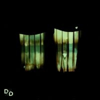 Divide and Dissolve - Insatiable (Green Vinyl)