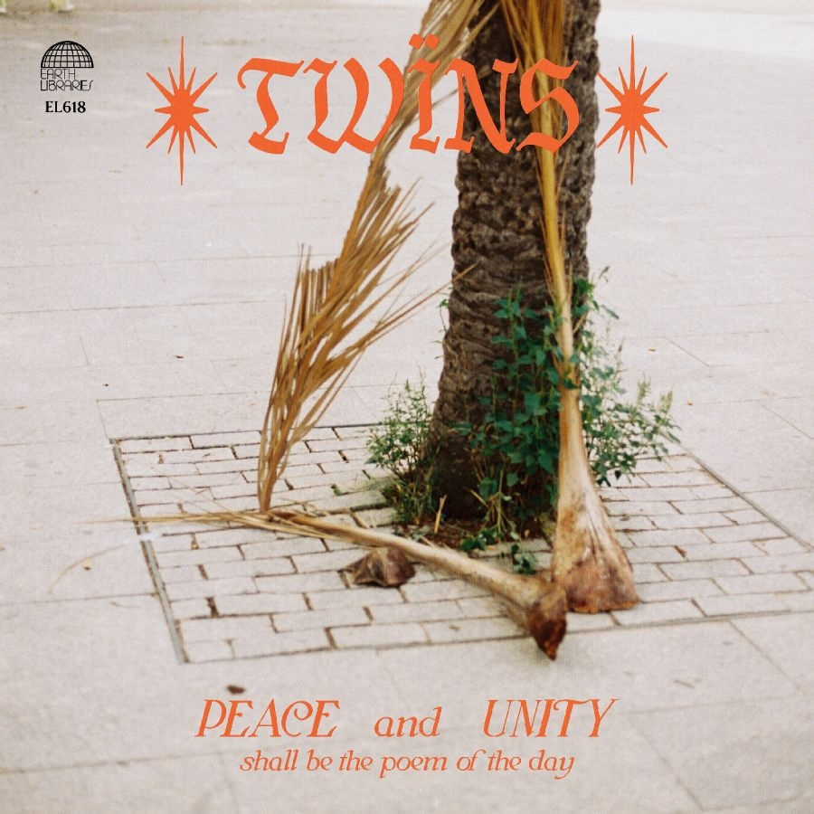 Twïns - Healing Dreams (Banyan Green Recycl