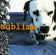 Sublime - Sublime - Special 2Cd Set Sublime - Sublime - Special 2Cd Set