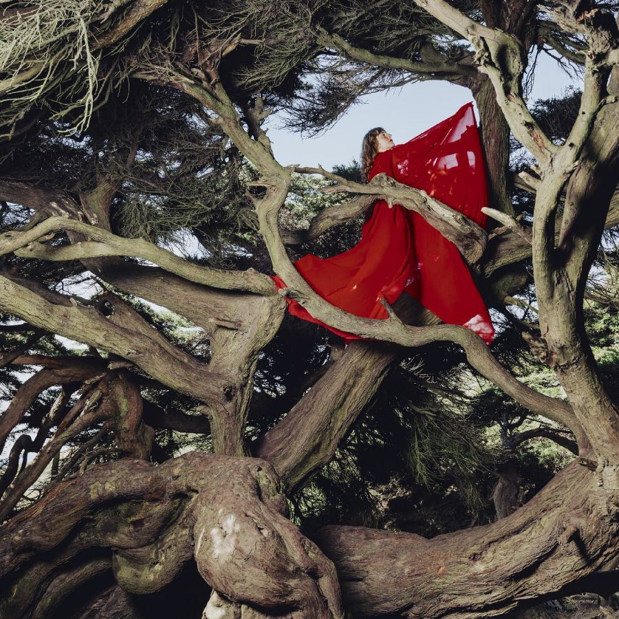 Frances Hannah - Nested In Tangles