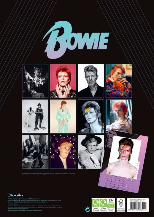 David Bowie  - 2026 A3 Calendar