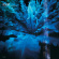 Hum - Downwards Is Heavenward Hum - Downwards Is Heavenward
