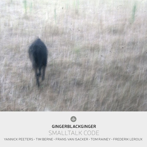 Yannick Peeters & Gingerblackginger & Tim Berne - Smalltalk Code