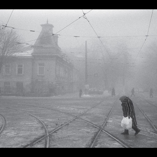 Neselovskyi Vadim - Perseverantia